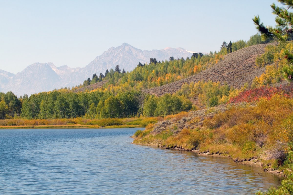 Grand Teton National Park, Wyoming (SUA): Ghid și 15 lucruri de văzut și făcut 6 Reflexia in oglinda a Tetonilor in meandrul raului Snake la Oxbow Bend