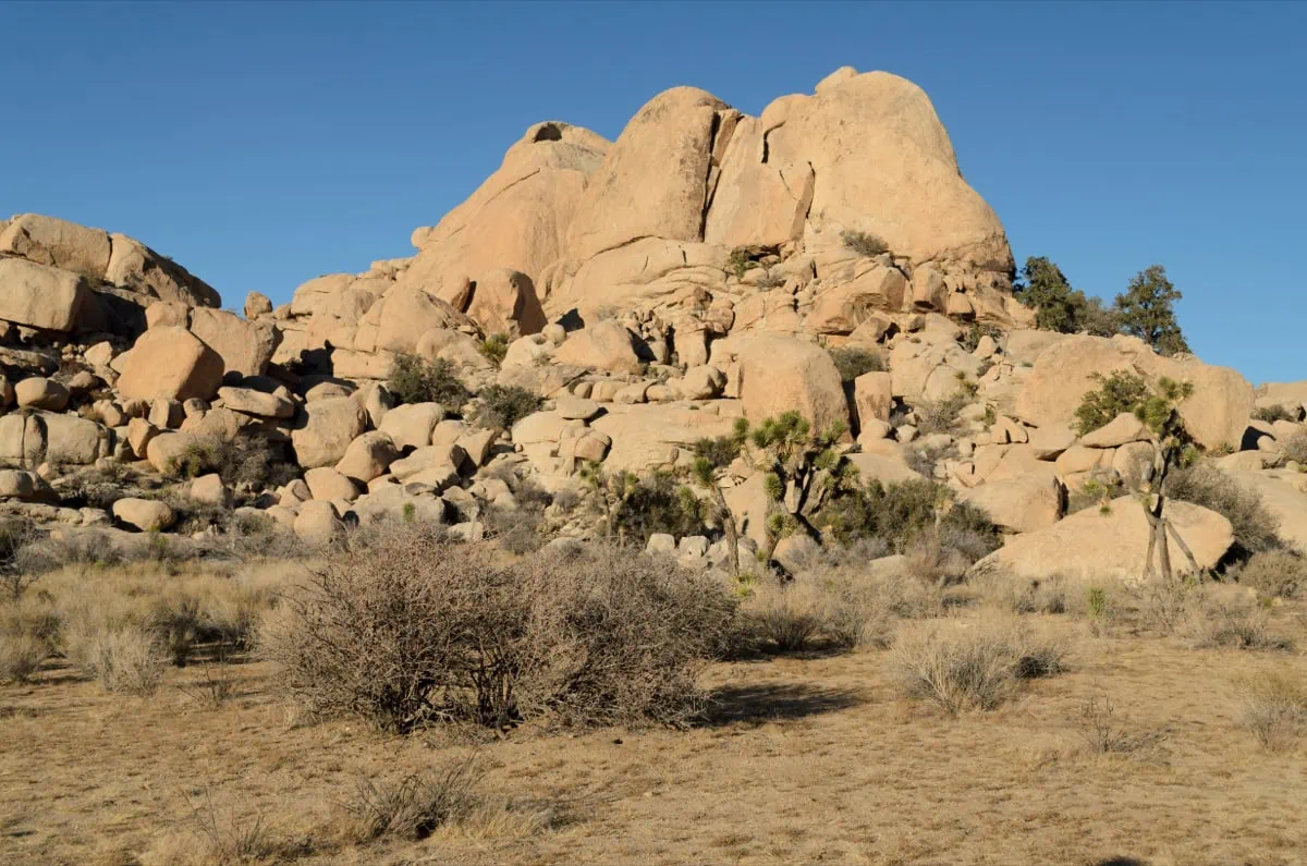Bacino desertico Barker Dam nel parco nazionale Joshua Tree