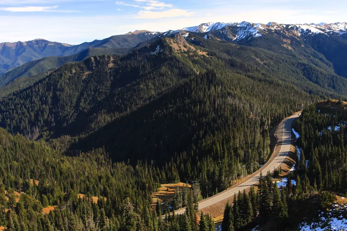 Horske louky a stity z vyhlidky Hurricane Ridge