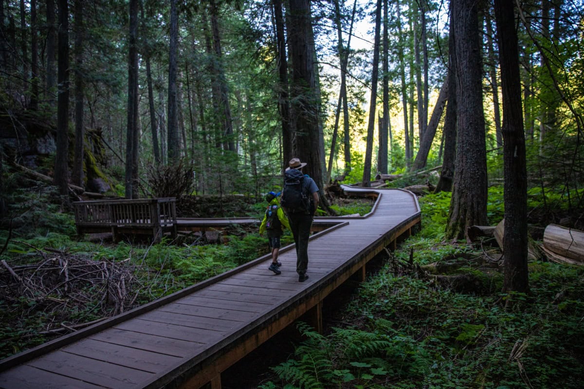 Glacier National Park, Montana: 15 lucruri de văzut și făcut 3 Traseul Trail of the Cedars prin padurea de cedri