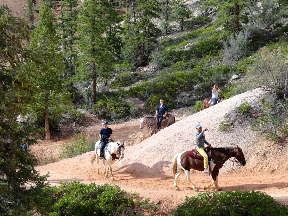 Stezka Peekaboo Loop mezi hoodoos v Bryce Canyon