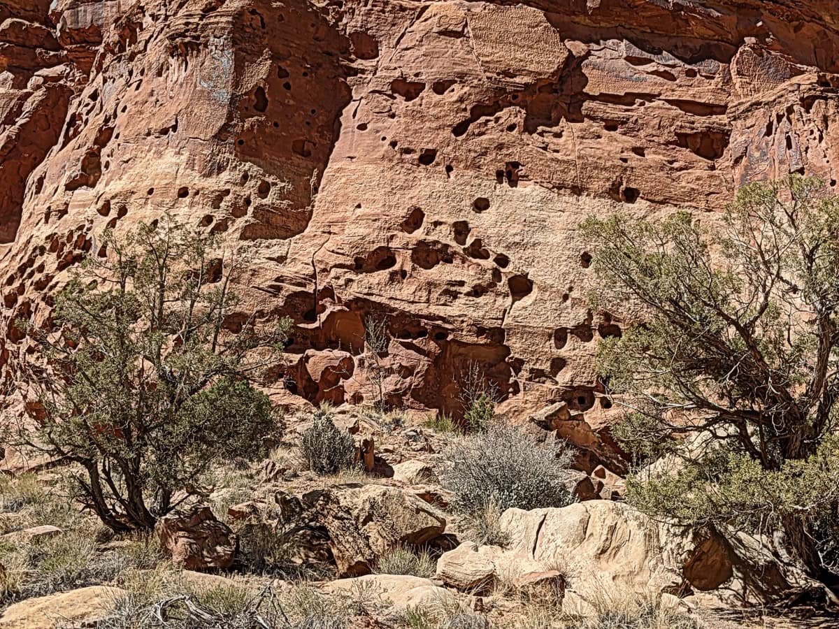 Skalni oblouk Cassidy Arch v Capitol Reef