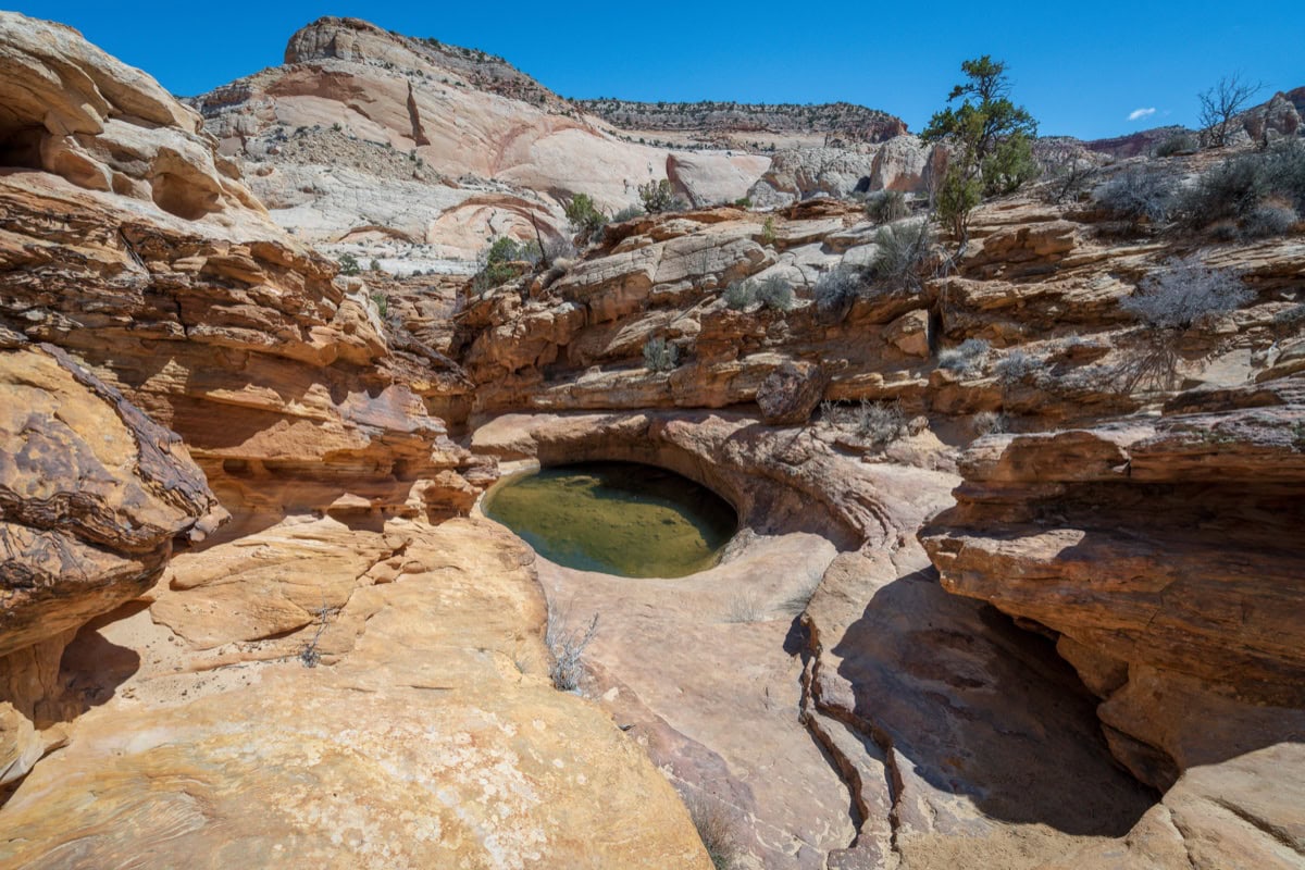 Capitol Reef National Park, Utah SUA: 15 sfaturi ce să vezi și să faci 7 Canionul ingust Capitol Gorge cu inscriptii istorice
