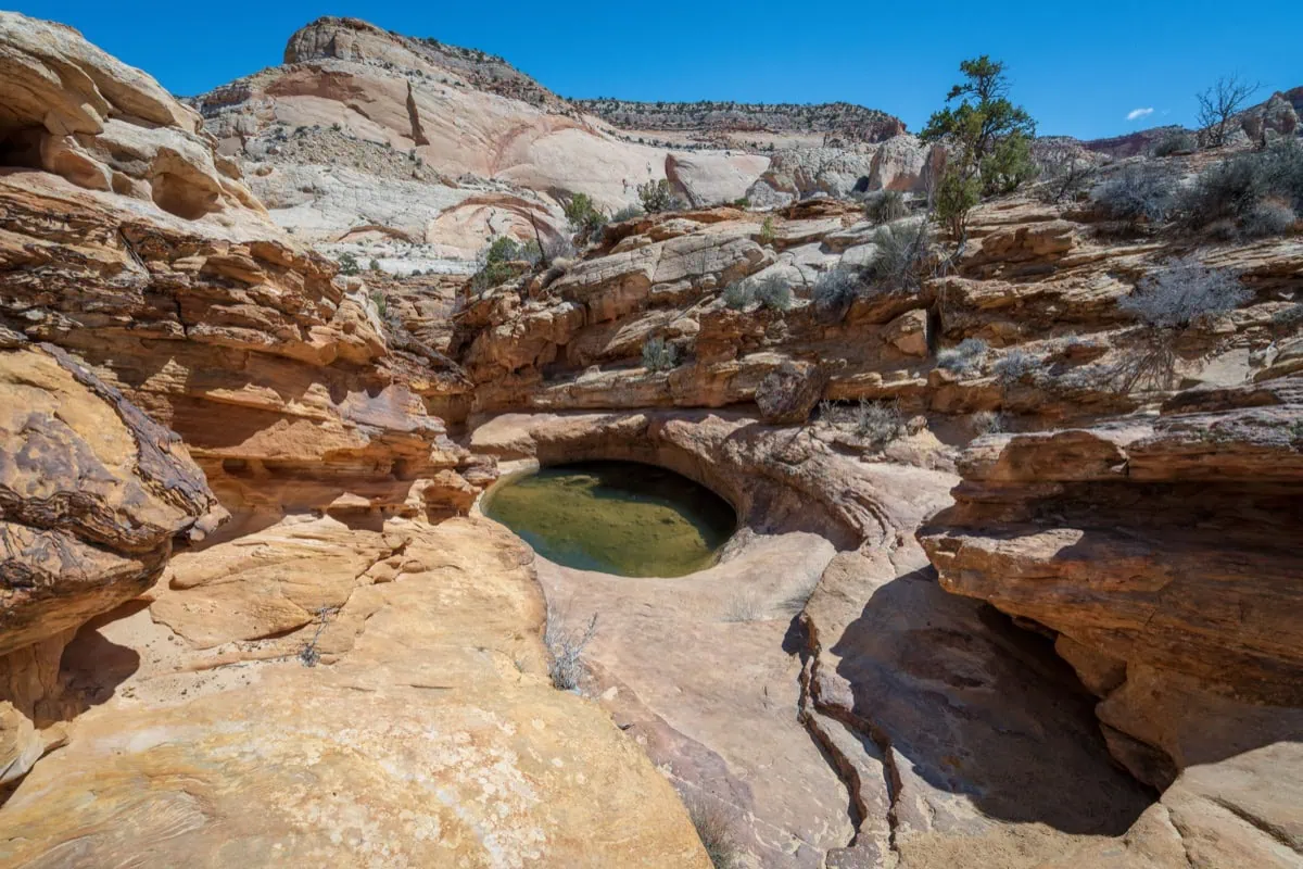 Uzky kanon Capitol Gorge s historickymi napisy