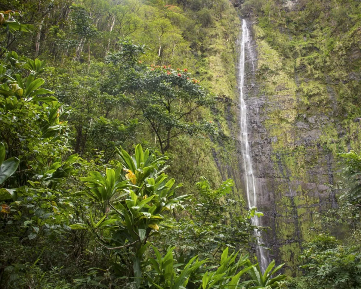 Stometrovy vodopad Waimoku Falls na konci stezky Pipiwai