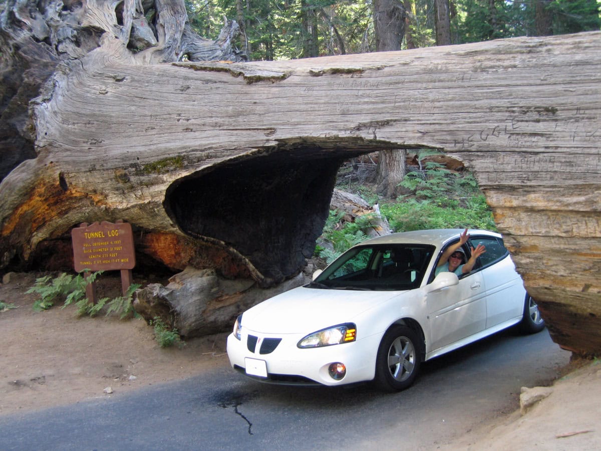 Sequoia National Park, California: 15 lucruri de văzut și făcut 5 Tunnel Log, trunchi cazut de secvoie cu trecere pentru masini