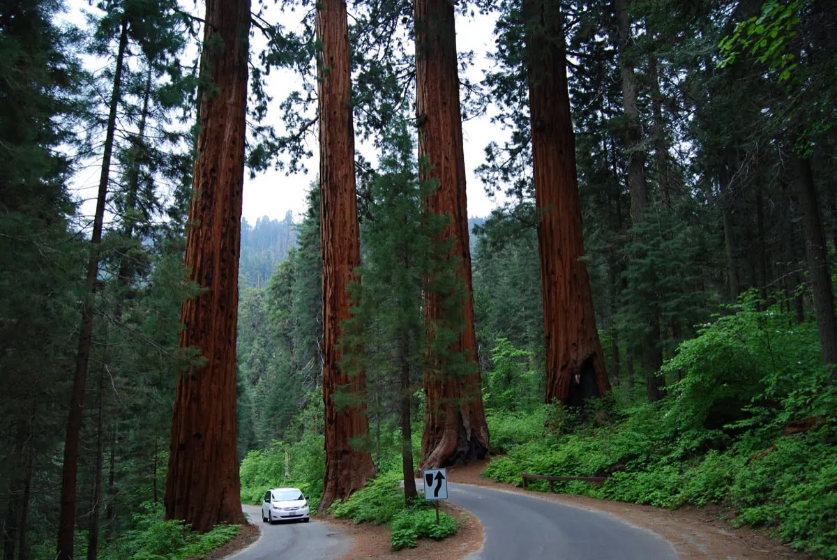 Horska silnice Generals Highway v Sequoia National Park