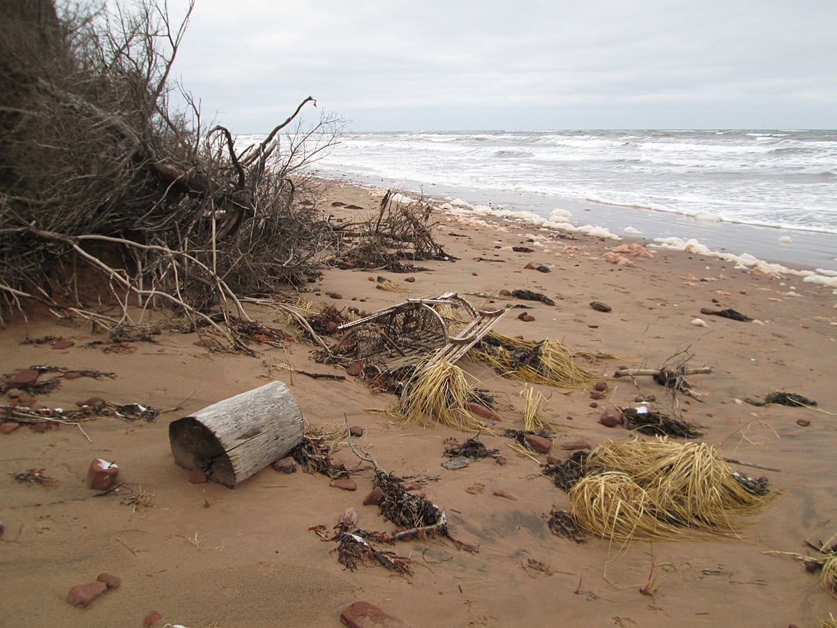 Insula Prince Edward: 13 lucruri de văzut și făcut în parcul național 12 Plaja nisipoasă Stanhope Beach în parcul național Prince Edward Island