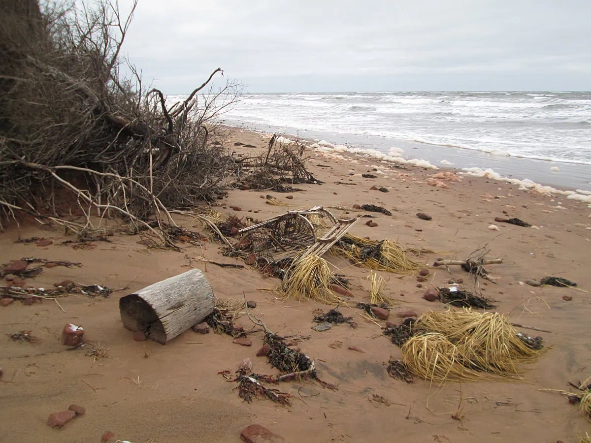 Písečná pláž Stanhope Beach v národním parku Prince Edward Island