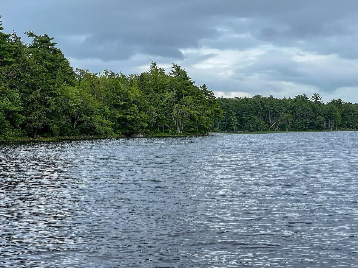 Kejimkujik National Park, Nova Scotia: 13 tipů, co vidět a dělat 1 Pohled na jezero Kejimkujik Lake z pláže Kedge Beach
