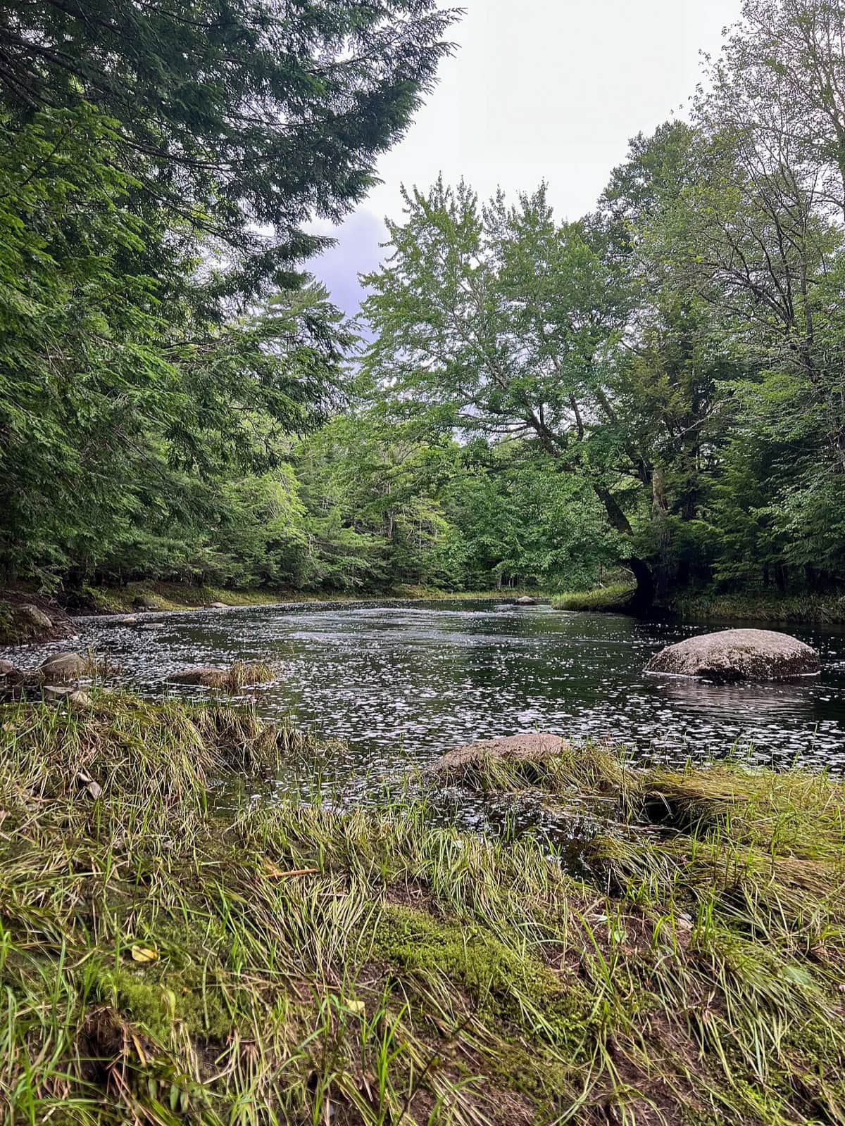 Kejimkujik National Park, Nova Scotia: 13 tipů, co vidět a dělat 2 Řeka Mersey River protékající lesy národního parku Kejimkujik