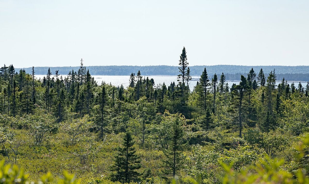 Kejimkujik National Park, Nouvelle-Écosse Canada : 13 choses à voir et à faire 4 Le littoral sauvage de Kejimkujik Seaside sur le sentier Harbour Rocks Trail