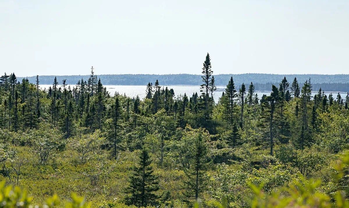 Kejimkujik National Park, Nova Scotia: 13 tipů, co vidět a dělat 4 Divoké pobřeží Kejimkujik Seaside na trase Harbour Rocks Trail