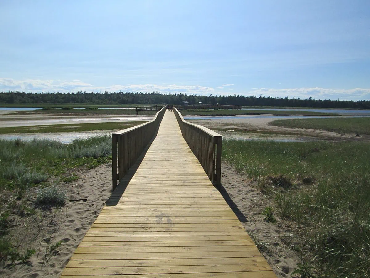 Dřevěná lávka přes duny ke Kellys Beach v parku Kouchibouguac