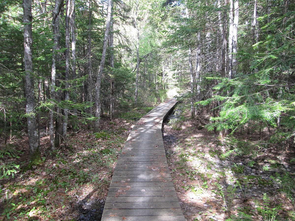 Kouchibouguac National Park, Nouveau-Brunswick : 15 choses à voir et à faire 4 Piste cyclable dans le Kouchibouguac National Park
