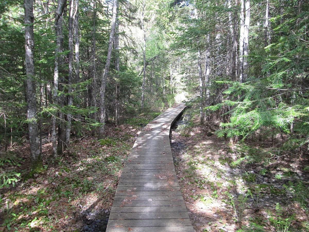 Cyklostezka v Kouchibouguac National Park