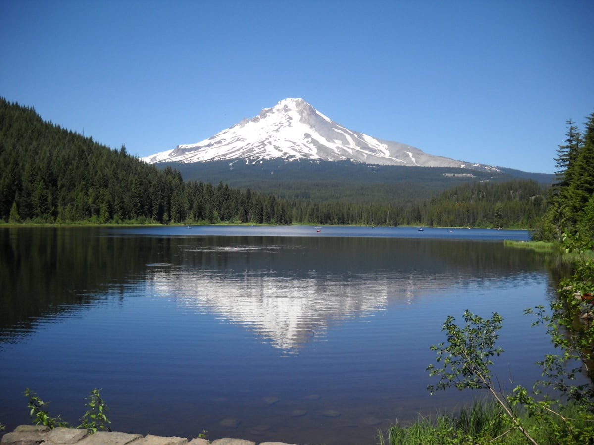 Road trip de 14 zile prin nord-vestul SUA: Oregon, Washington și Lake Tahoe 5 Mount Hood cu reflexie în Trillium Lake la răsărit