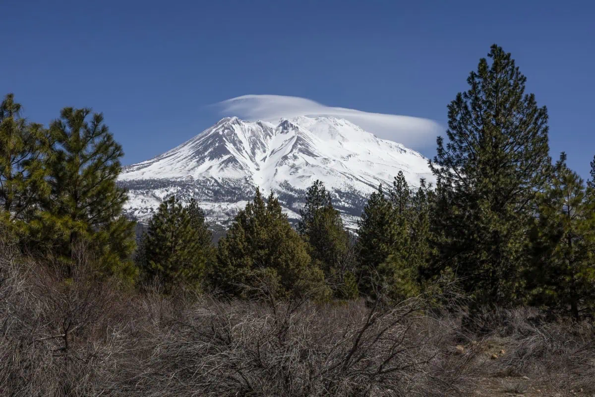 Zasnezena hora Mount Shasta v severni Kalifornii