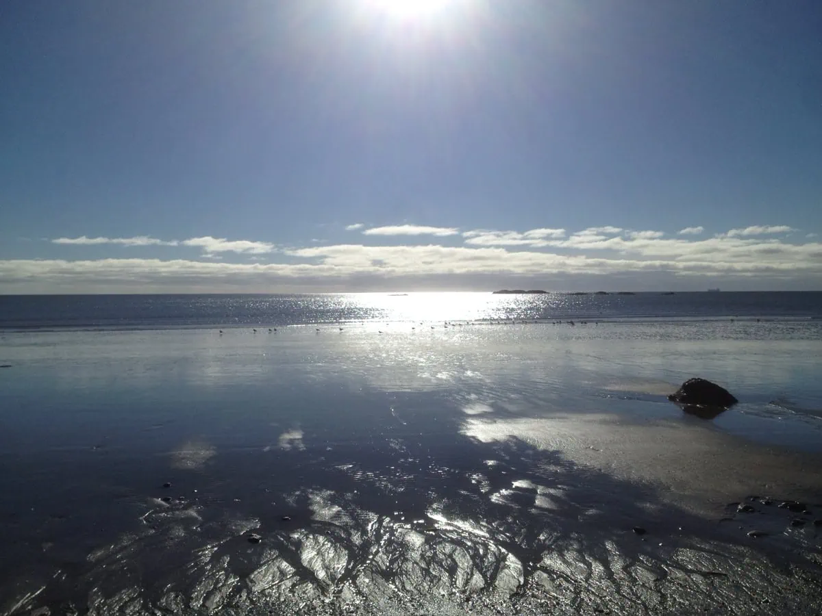 Fondo marino expuesto durante la marea baja en la bahía de Fundy