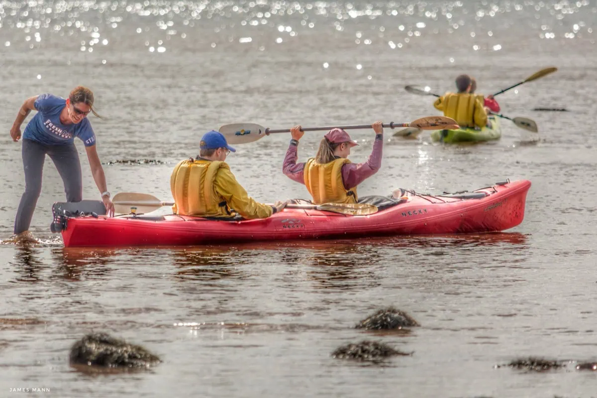 Kayaks en la bahía de Fundy