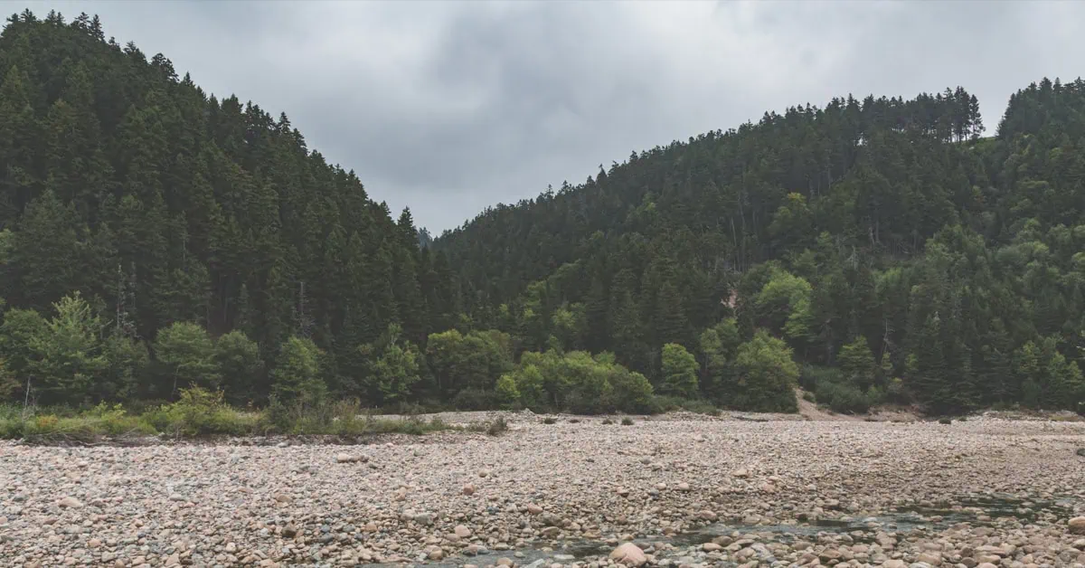 Carretera escénica en el parque nacional Fundy