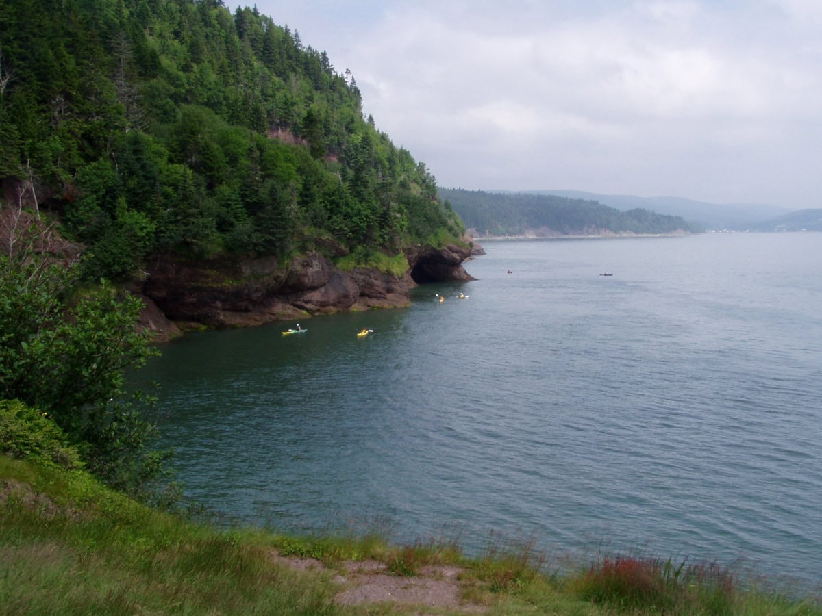 Vyhlidkove utesy v Fundy National Park