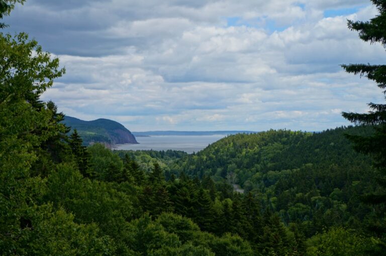 Pobrezi a les Fundy National Park v New Brunswicku
