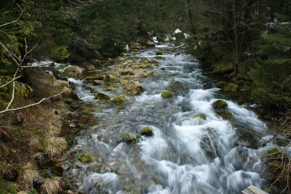 Udoli Dolina Koscieliska v polskych Tatrach
