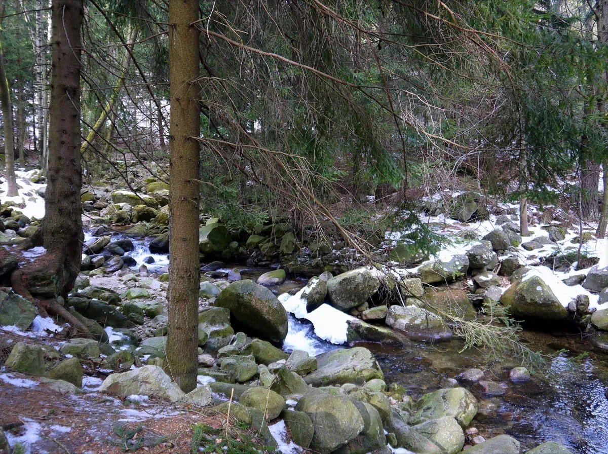 Reka Bobr u Karpacze (Lomnica)