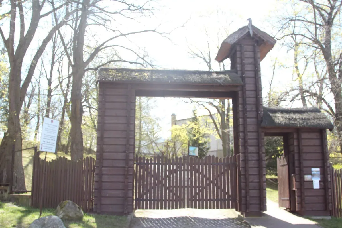 Zubři ve Wolinskem narodnim parku