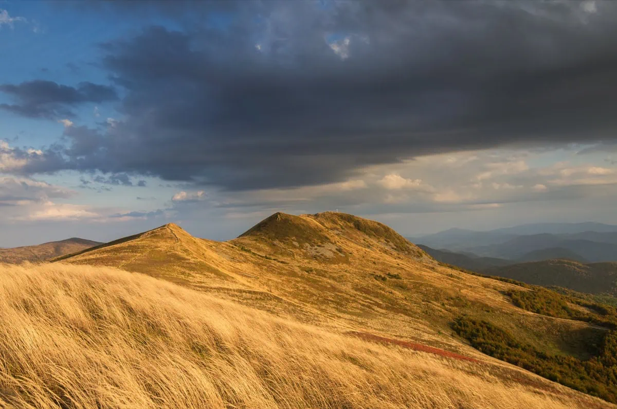 Vrchol Tarnica (1346m) v Bieszczadech
