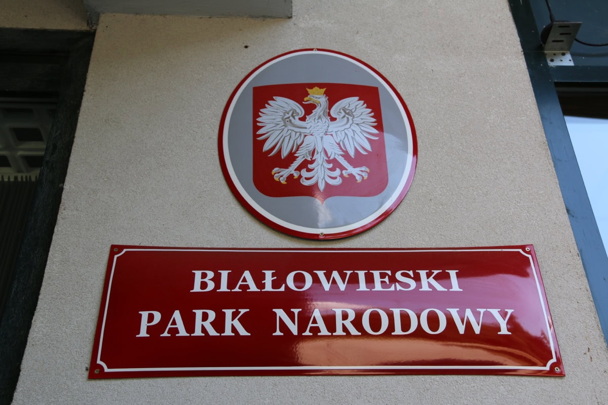 Białowieża, Polen: 10 Tipps für den letzten echten Urwald Europas 2026 6 Białowieski Park Narodowy – Eingangsbereich des Nationalparks