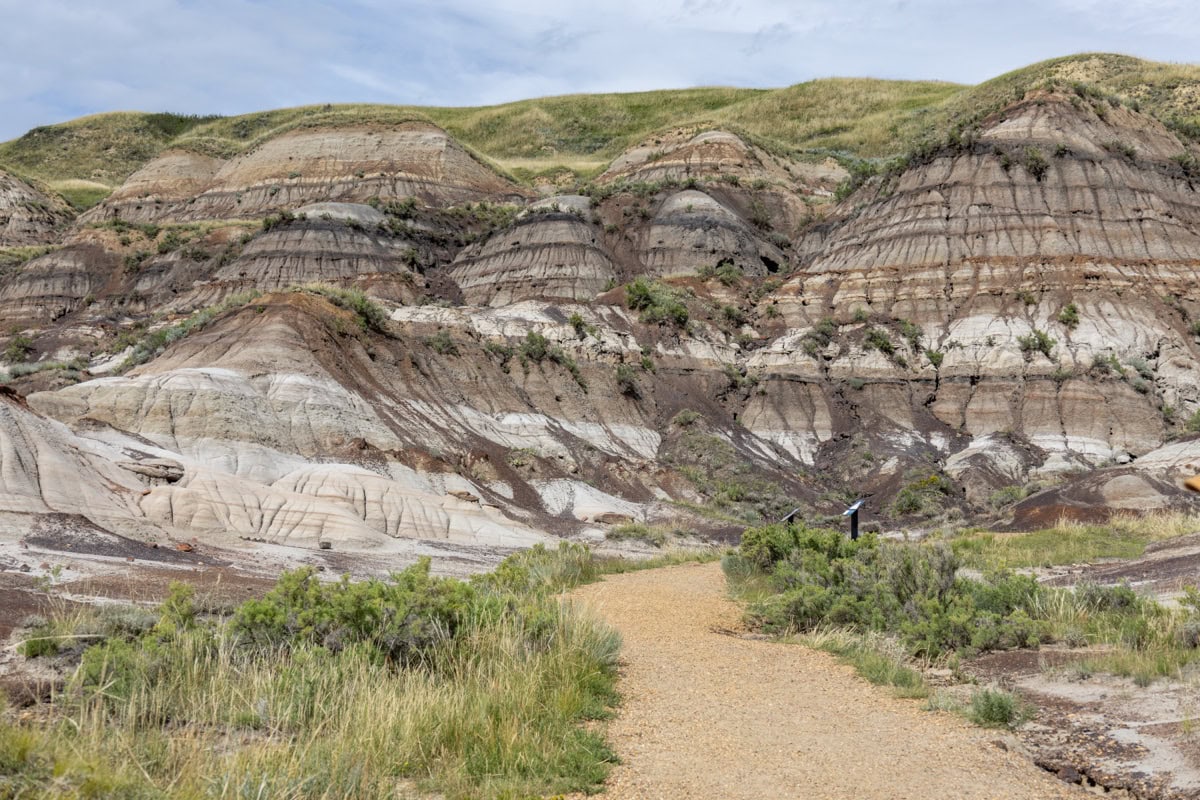 Drumheller a Royal Tyrrell Museum: Dinosauří badlands Alberty 3 Drumheller badlands a hoodoos