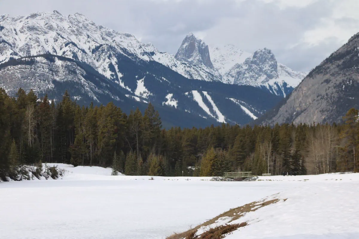 Polární záře v Albertě: Kde a kdy ji můžete vidět 7 Mount Norquay nad Banff townsite