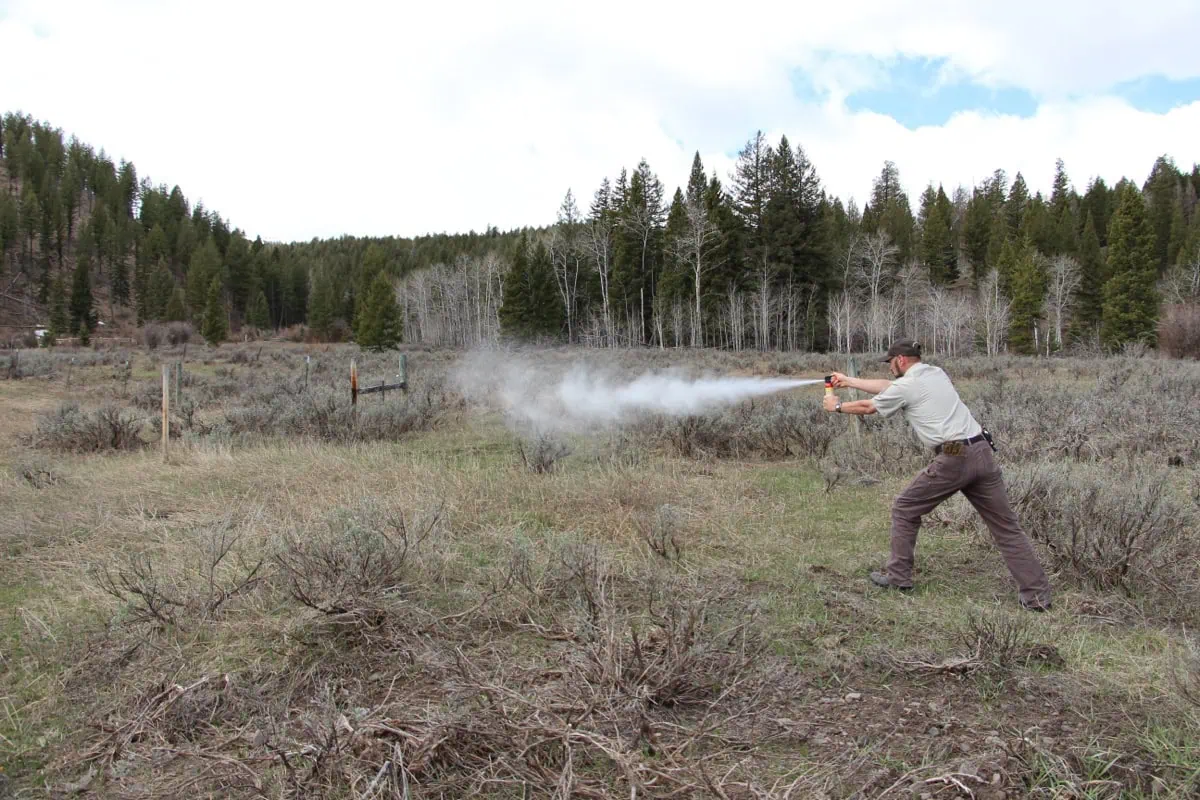 Medvědi v Kanadě: Kompletní průvodce bezpečností (bear spray, jak se chovat, co dělat při setkání) 9 Bear spray - povinna ochranna vybava