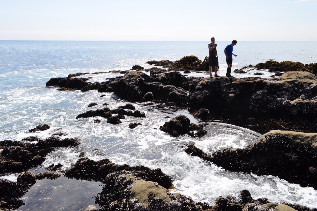 West Coast Trail - 75 km vicedenni trek