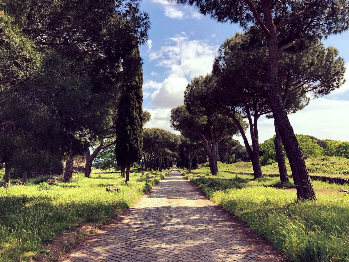 Starobylá dlážděná cesta Via Appia Antica lemovaná piniemi