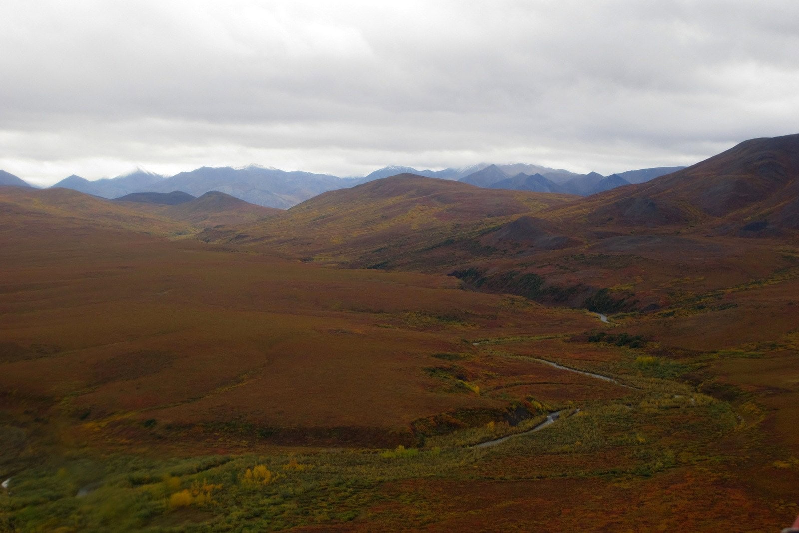 Când să mergi în Alaska: Care lună e cea mai bună pentru aurora boreală și călătorii (2026) 6 Culorile de toamnă ale tundrei în Noatak National Preserve