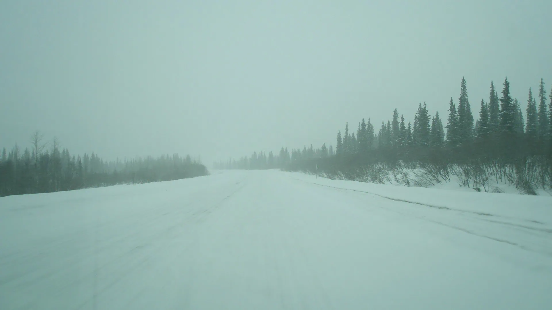 Winter road in Denali State Park