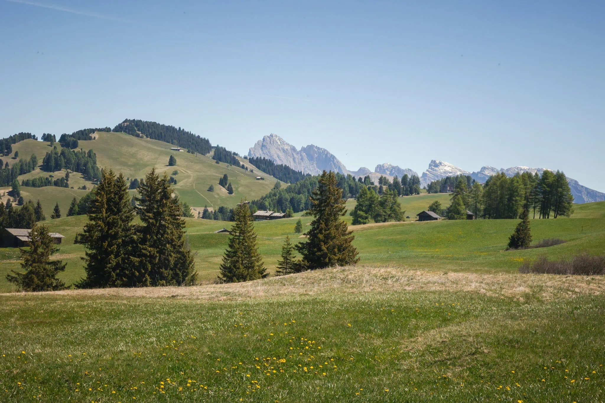 Zvlněná travnatá náhorní plošina Alpe di Siusi s roztroušenými senníky