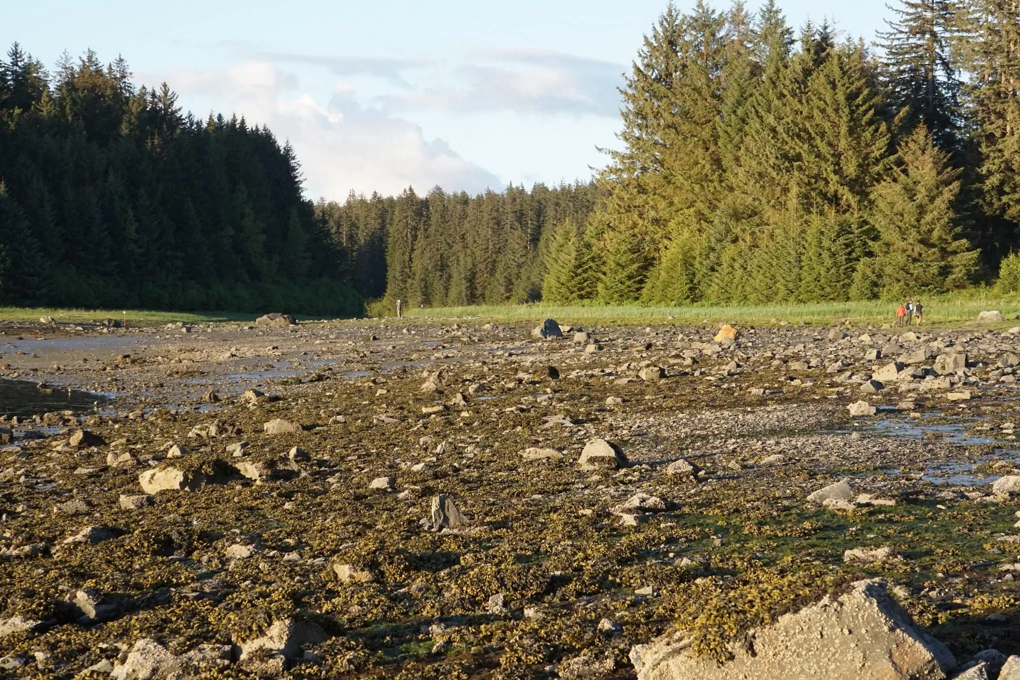 Beach at Bartlett Cove, the only slice of civilisation in Glacier Bay