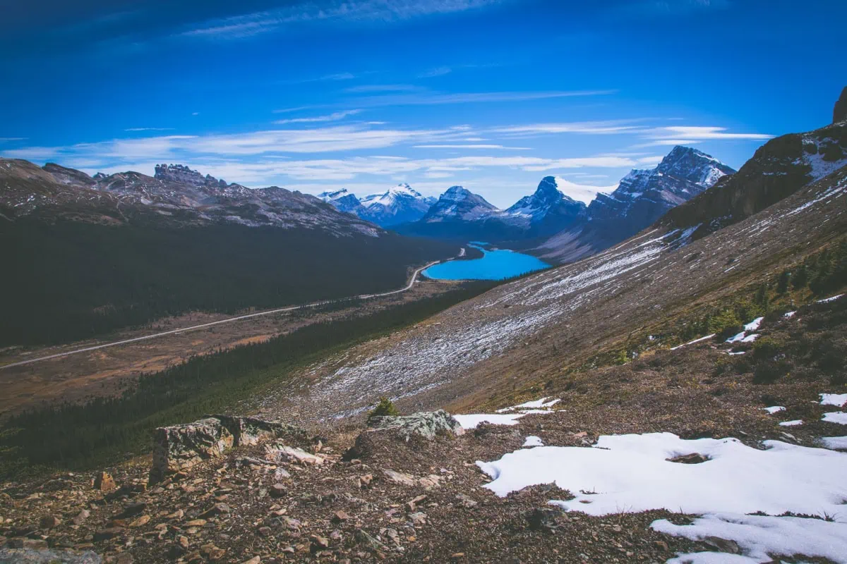 Panorama Bow Lake na Icefields Parkway
