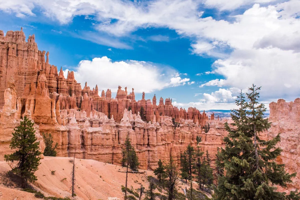 Oranzove skalni veze hoodoos mezi borovicemi
