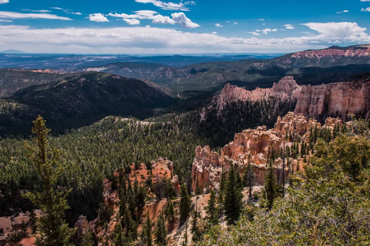 Zelene lesnate udoli s hoodoos podel Scenic Drive