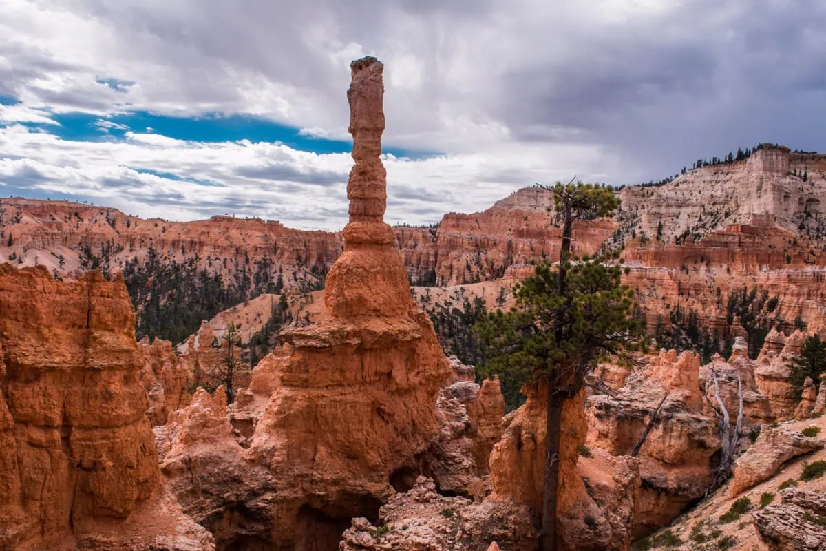 Charakteristicka skalni vez Thor's Hammer v Bryce Canyon