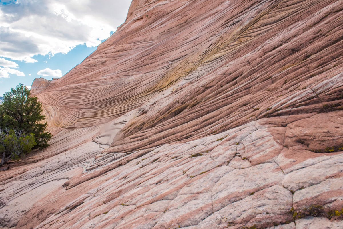Capitol Reef National Park, Utah SUA: 15 sfaturi ce să vezi și să faci 13 Detaliu de gresie in dungi in parcul national Capitol Reef