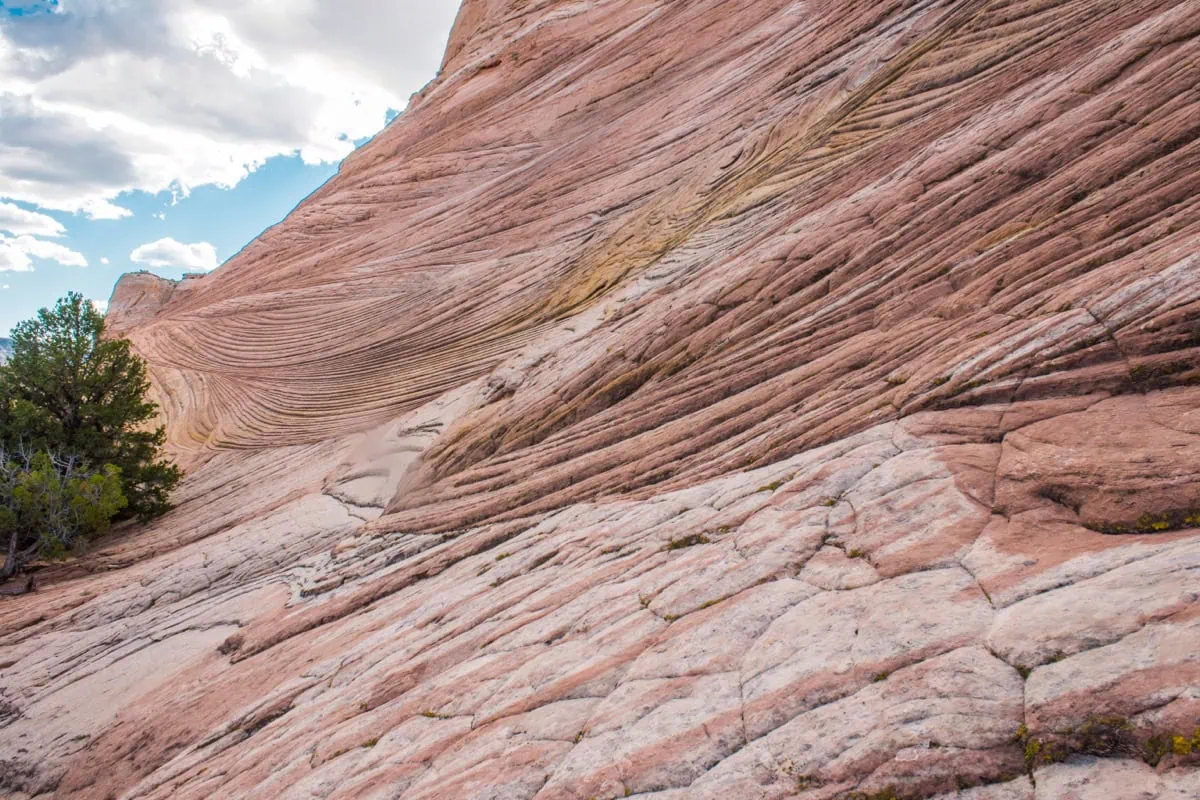Detail pruhovaneho piskovce v narodnim parku Capitol Reef