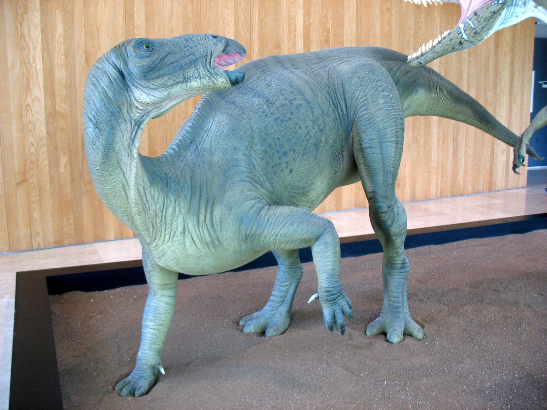 Museo Paleontológico de Castilla-La Mancha (MUPA)