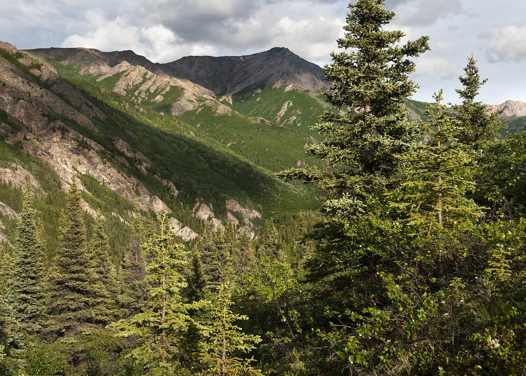 Eingang zum Denali National Park mit Blick auf die Alaska Range
