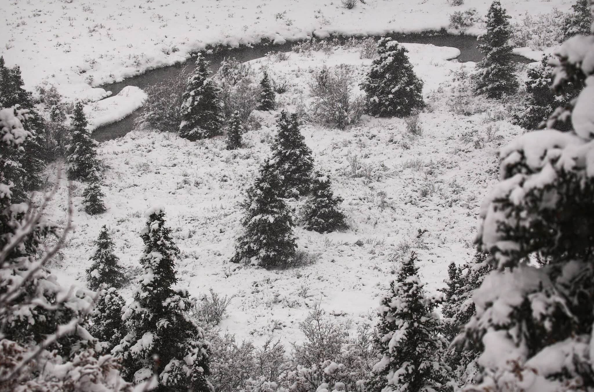 Când să mergi în Alaska: Care lună e cea mai bună pentru aurora boreală și călătorii (2026) 7 Prima zăpadă de octombrie pe Denali Park Road